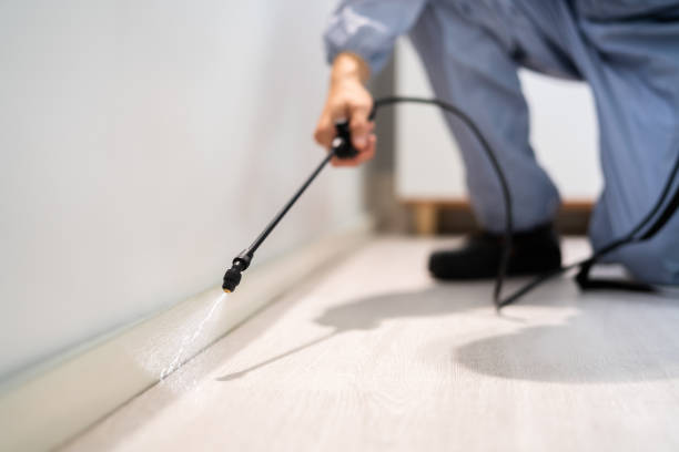 Licensed Termite Control service in Emeryville, CA - Nex Pest Control