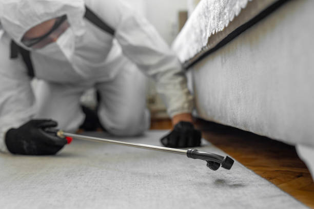 Professional Termite Control technician working in Emeryville, CA