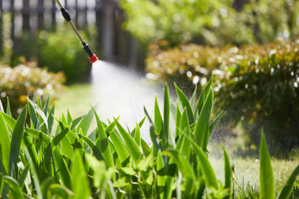 24/7 Emergency Termite Control experts in Emeryville, CA