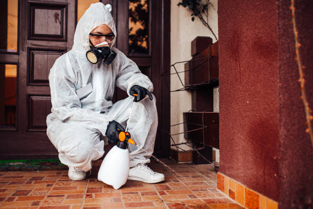 Reliable Termite Control contractor in Emeryville, CA by Nex Pest Control